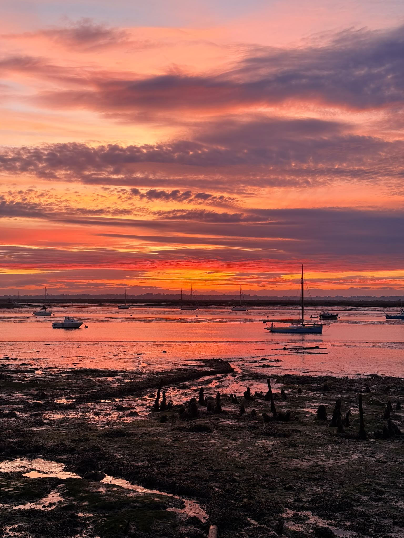 Seafood at Dawn gallery photo 1